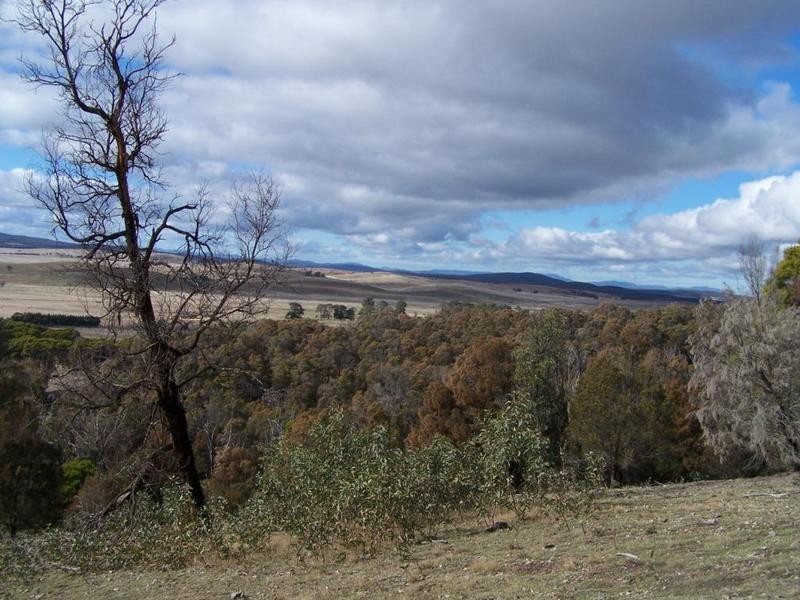 Lot 14 Braidwood Road, Tarago NSW 2580