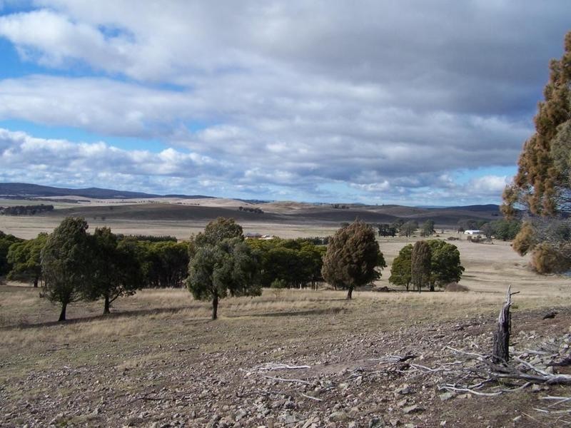 Lot 14 Braidwood Road, Tarago NSW 2580