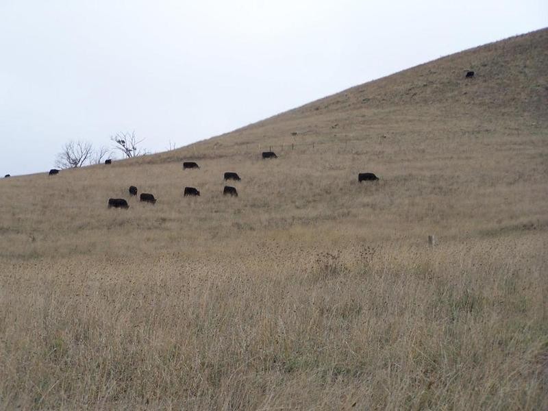 680 Woodhouselee Road, Goulburn NSW 2580