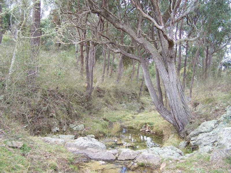 Lot 51 Mares Forest Road, Taralga NSW 2580