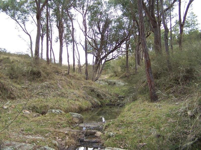 Lot 51 Mares Forest Road, Taralga NSW 2580