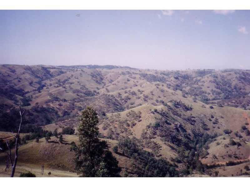 Lot 1 Long Gully Road, Bannaby NSW 2580