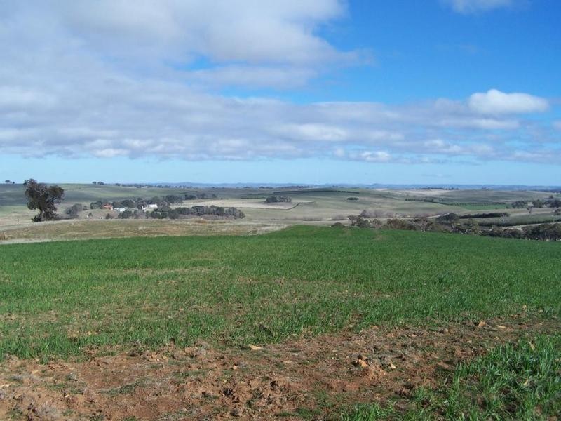 Lot 1 Lost River Road, Wheeo NSW 2583