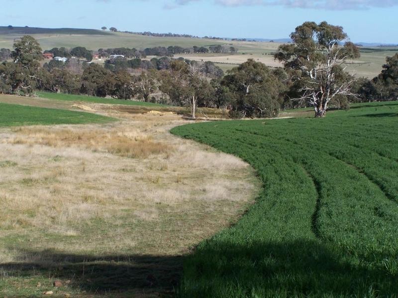Lot 1 Lost River Road, Wheeo NSW 2583