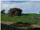 Lot 1 Lost River Road, Wheeo NSW 2583