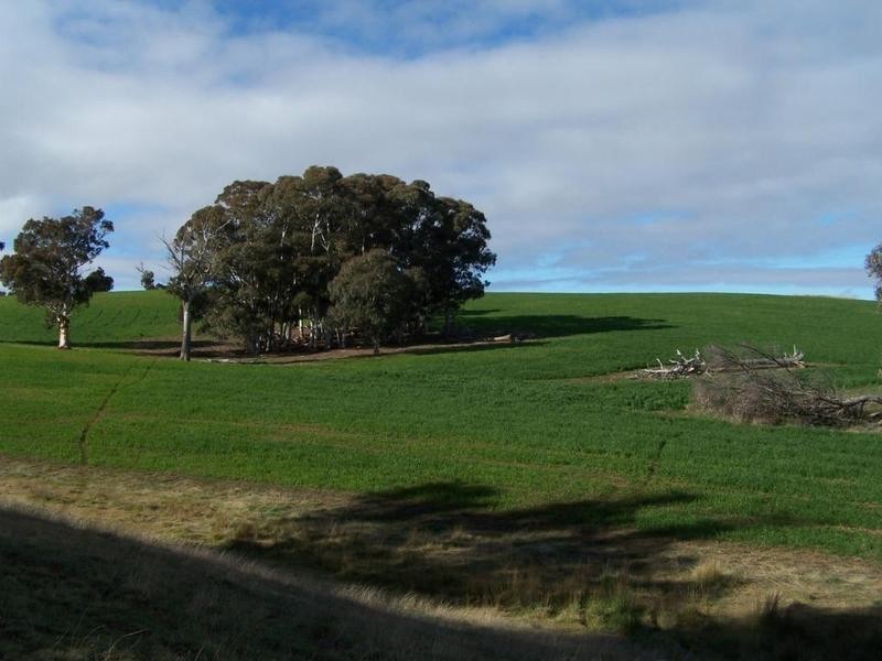 Lot 1 Lost River Road, Wheeo NSW 2583