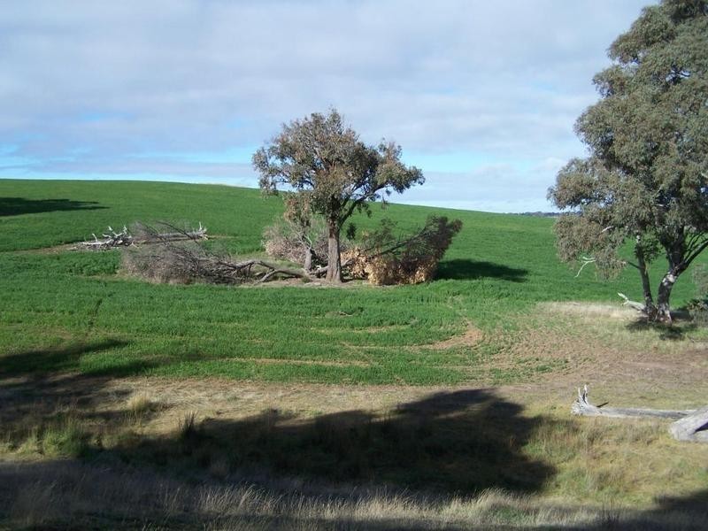 Lot 1 Lost River Road, Wheeo NSW 2583