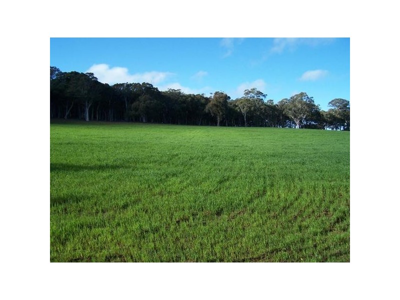 Lot 2 Lost River Road, Wheeo NSW 2583