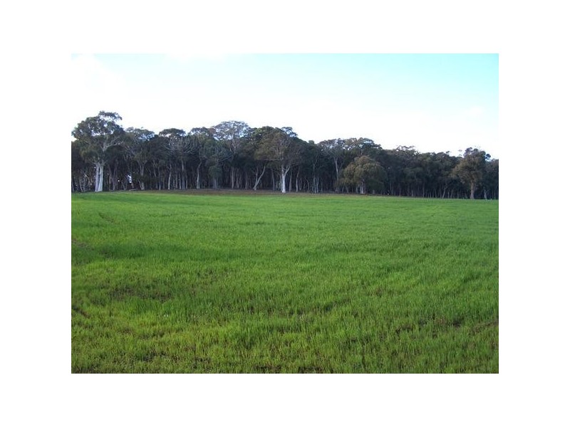 Lot 2 Lost River Road, Wheeo NSW 2583