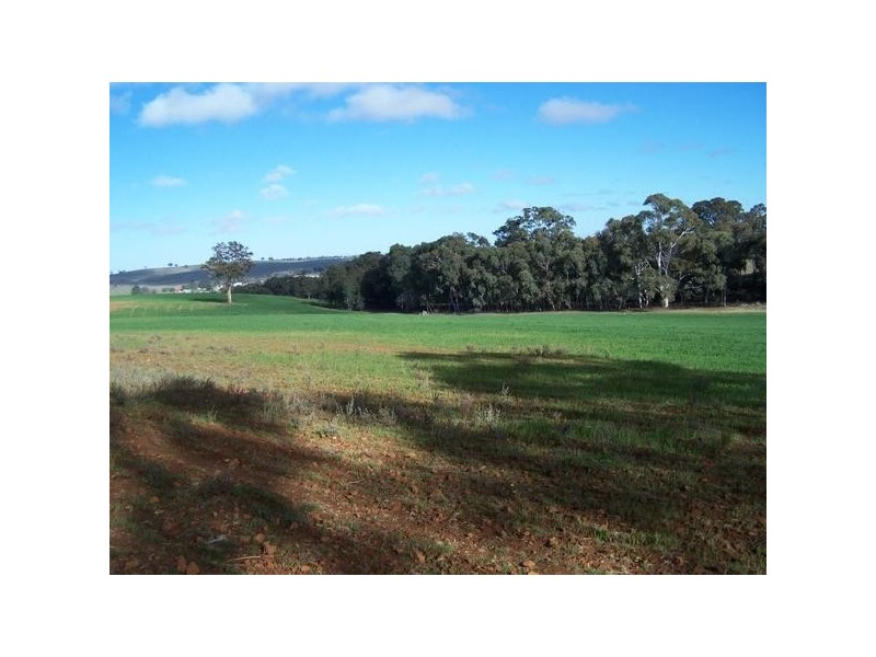 Lot 2 Lost River Road, Wheeo NSW 2583