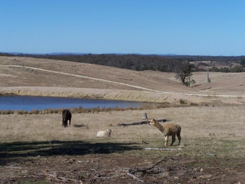 147 Pegasus Road, Bungonia NSW 2580