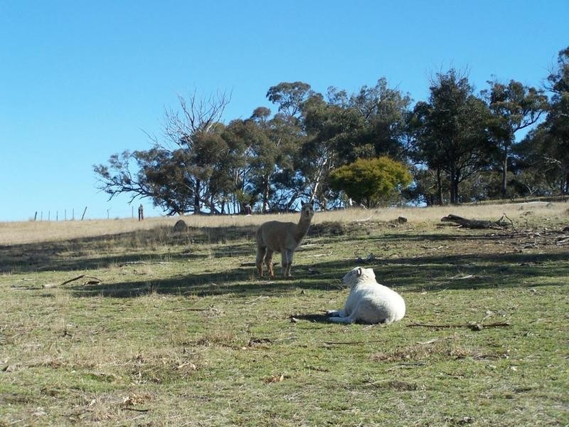 147 Pegasus Road, Bungonia NSW 2580