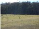 74 Illowra Lane, Lake Bathurst NSW 2580
