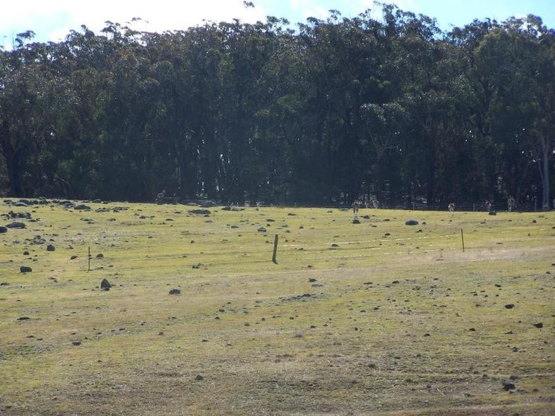 74 Illowra Lane, Lake Bathurst NSW 2580
