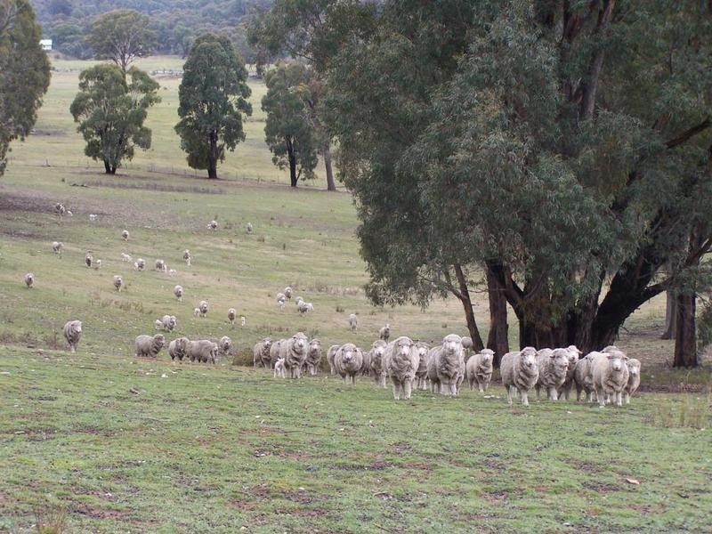 Lot 1 Junction Point Road, Binda NSW 2583