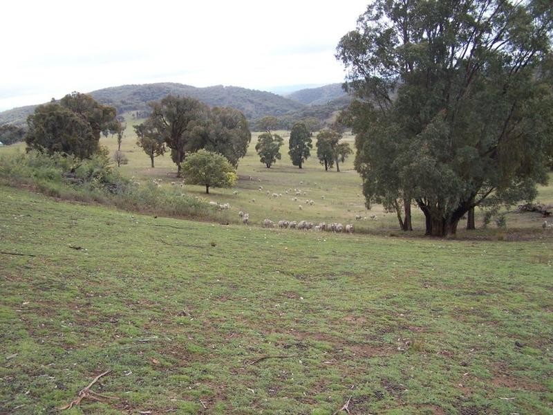 Lot 1 Junction Point Road, Binda NSW 2583