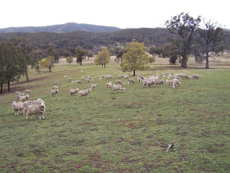 Lot 1 Junction Point Road, Binda NSW 2583