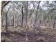 Lot 2 Junction Point Road, Binda NSW 2583