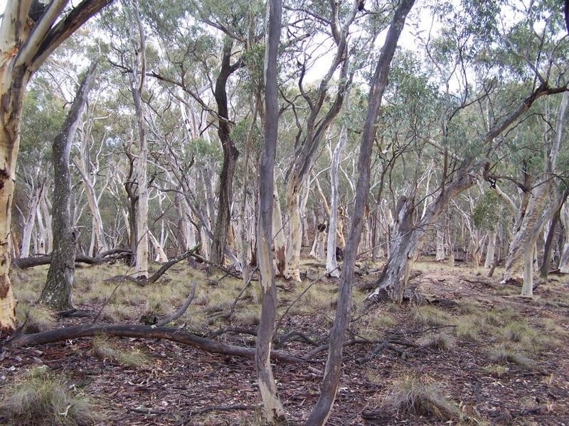 Lot 2 Junction Point Road, Binda NSW 2583