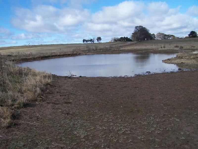 2561 Tyrl Tyrl Road, Laggan NSW 2583