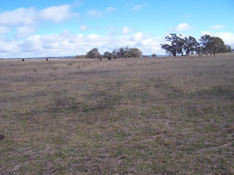 2561 Tyrl Tyrl Road, Laggan NSW 2583