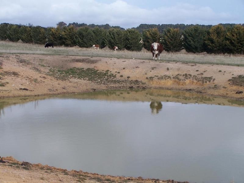 2562 Tyrl Tyrl Road, Laggan NSW 2583