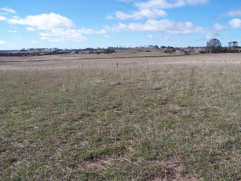 2562 Tyrl Tyrl Road, Laggan NSW 2583