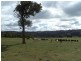 298 Iron Mine Road, Crookwell NSW 2583