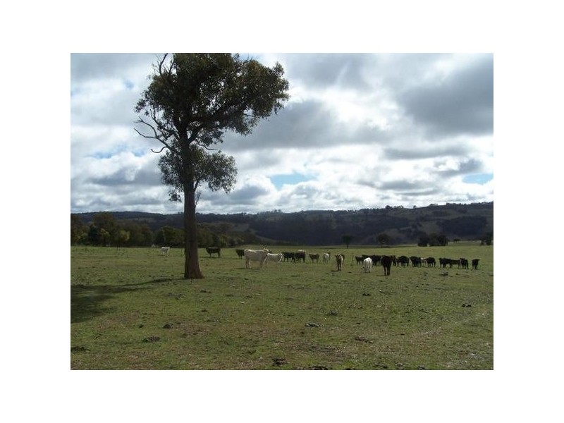 298 Iron Mine Road, Crookwell NSW 2583