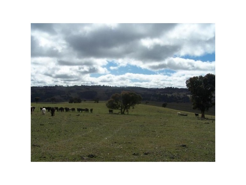 298 Iron Mine Road, Crookwell NSW 2583
