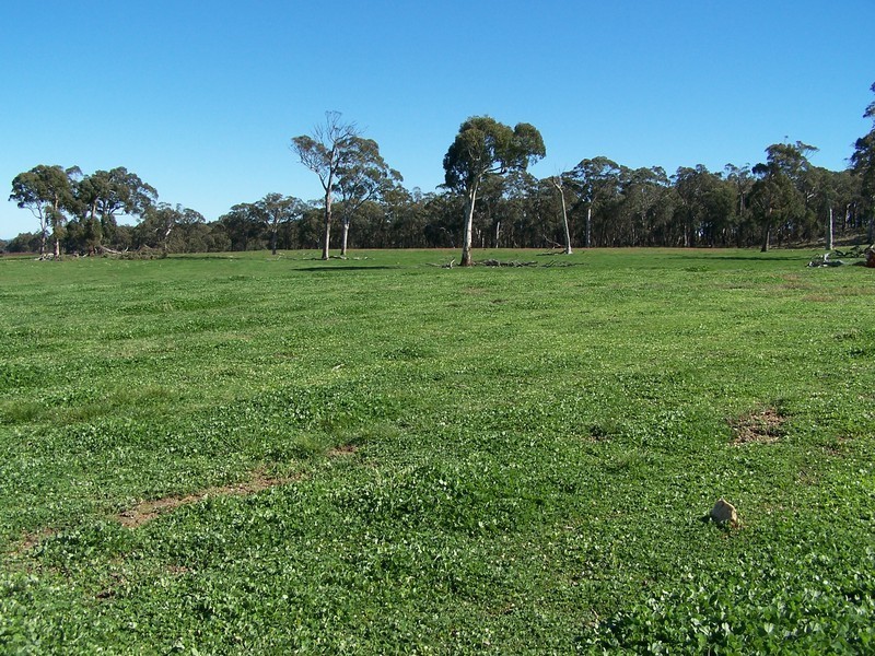 699 Peelwood Road, Laggan NSW 2583