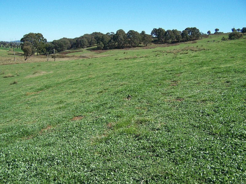 699 Peelwood Road, Laggan NSW 2583