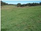 699 Peelwood Road, Laggan NSW 2583