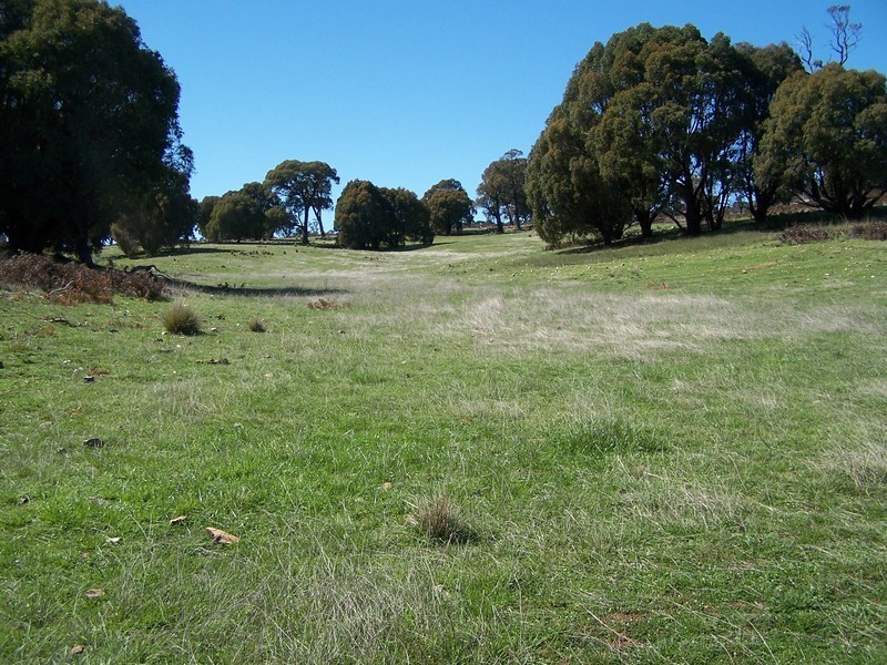 699 Peelwood Road, Laggan NSW 2583