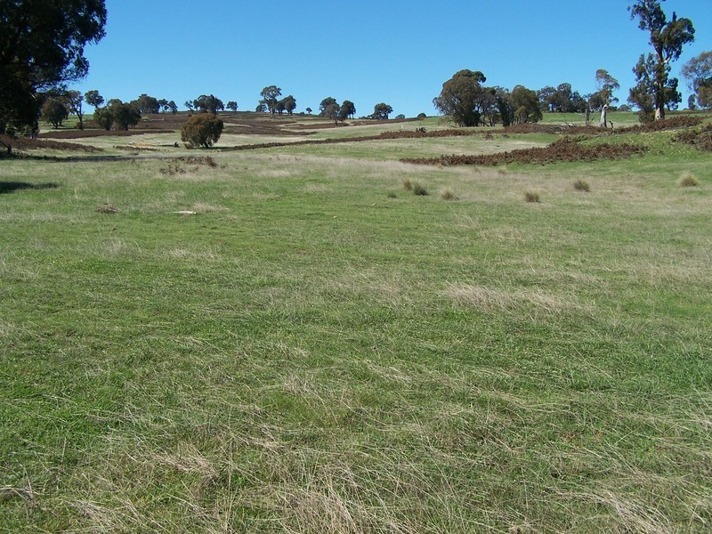 699 Peelwood Road, Laggan NSW 2583