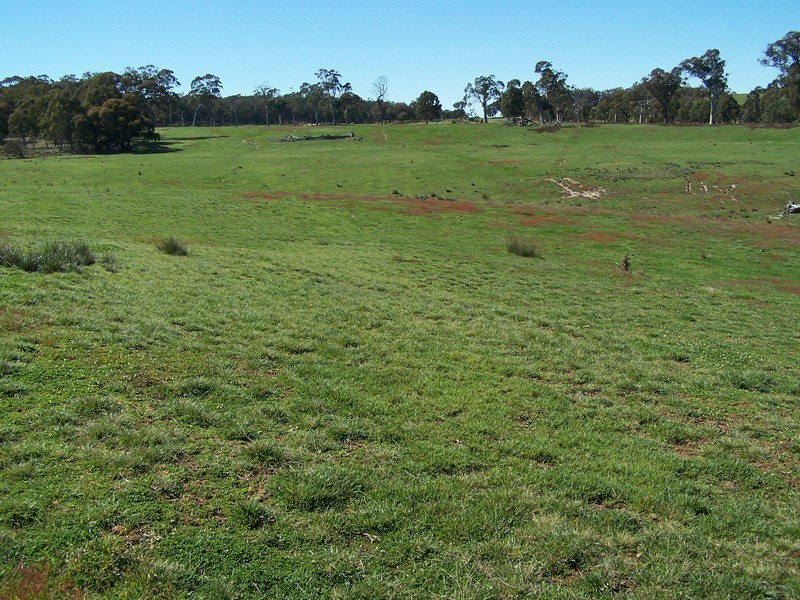 699 Peelwood Road, Laggan NSW 2583