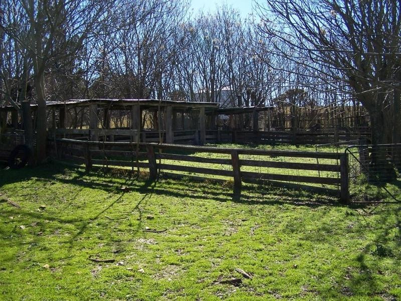 699 Peelwood Road, Laggan NSW 2583
