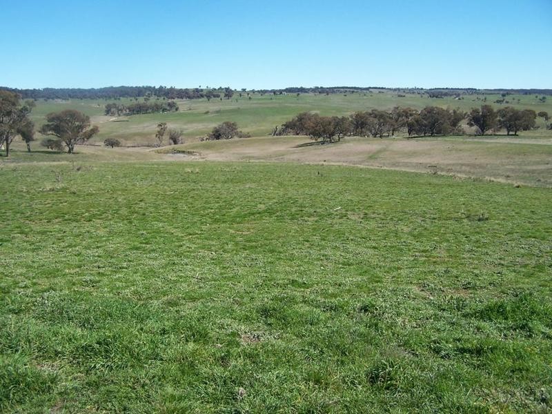 3256 Golspie Road, Laggan NSW 2583