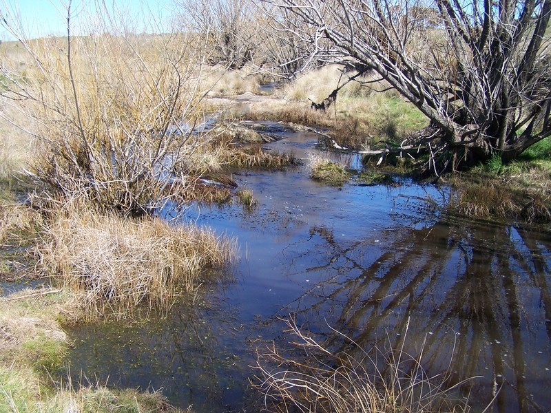 3256 Golspie Road, Laggan NSW 2583