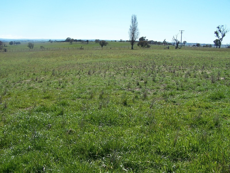 3256 Golspie Road, Laggan NSW 2583