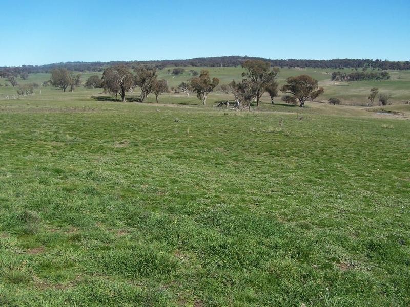 3256 Golspie Road, Laggan NSW 2583