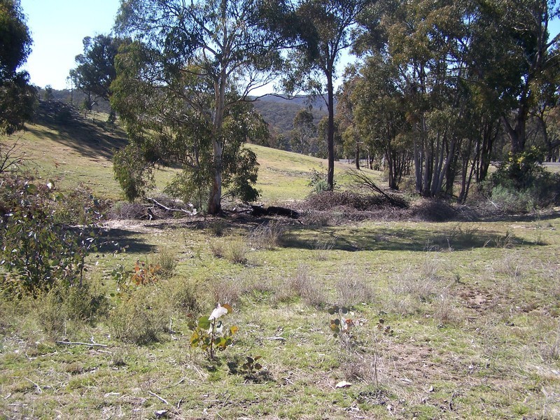 Lot 1/5 Junction Point Road, Binda NSW 2583