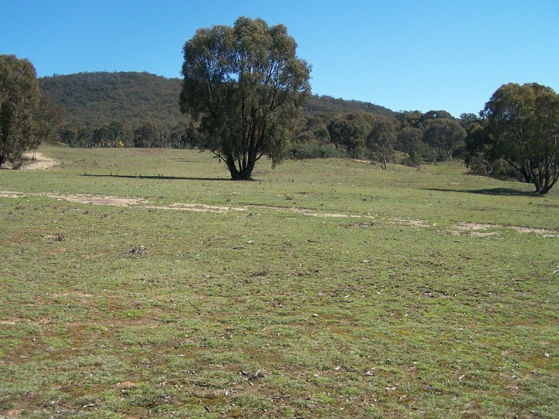 Lot 1/5 Junction Point Road, Binda NSW 2583