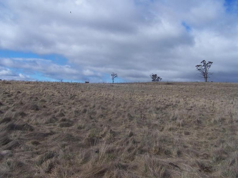 Lot 1 Chapmans Lane, Tarlo NSW 2580