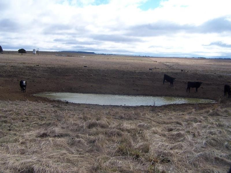 Lot 1 Chapmans Lane, Tarlo NSW 2580