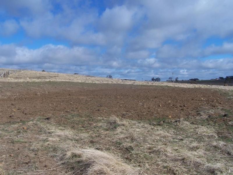 Lot 1 Chapmans Lane, Tarlo NSW 2580