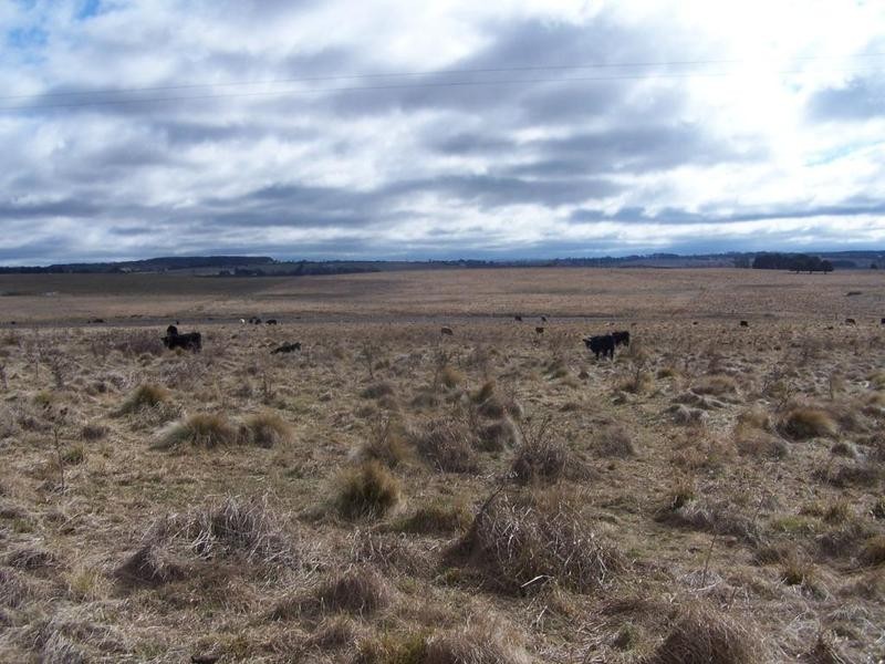 Lot 1 Chapmans Lane, Tarlo NSW 2580