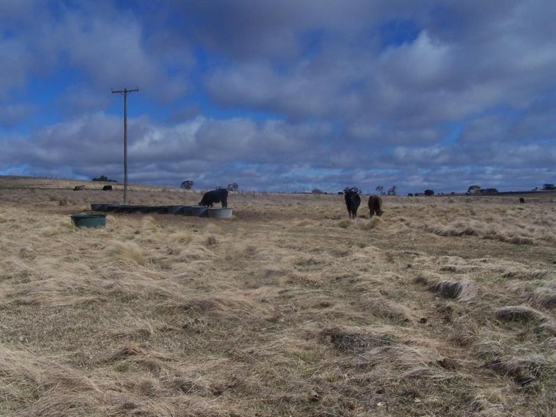 Lot 1 Chapmans Lane, Tarlo NSW 2580