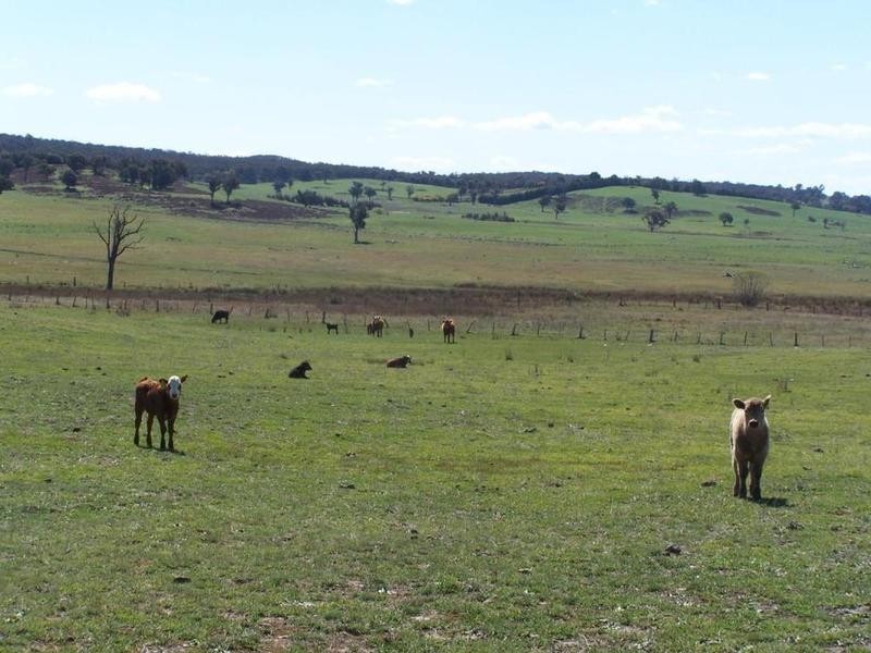 Lot 3 Peelwood Road, Laggan NSW 2583