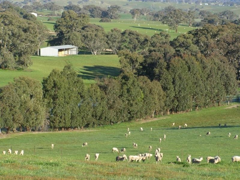 681 Sylvia Vale Road, Binda NSW 2583